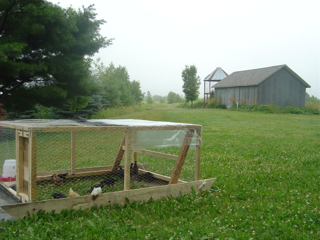 07 - Chicken Tractor