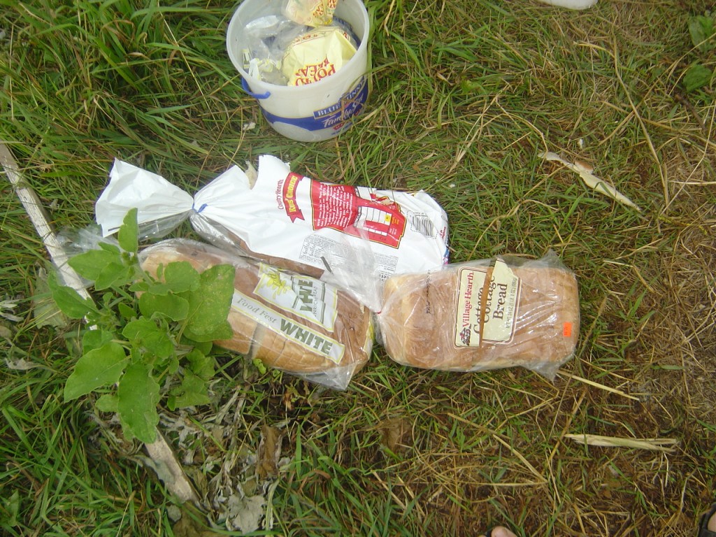 09 - Pig Brunch