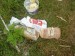 09 - Pig Brunch