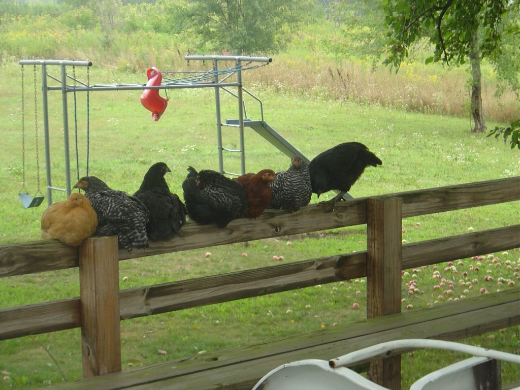 14 - Y'might be a redneck if...