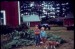 13 - Sheep Manure Garden
