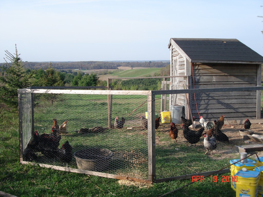 But the old coop is still in service, you bet.