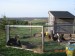 But the old coop is still in service, you bet.