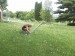 Flagpole 5 Flagpole 5