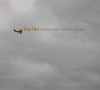 Tiny Pilot – Michael Perry and the Long Beds