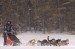 Mike mushing. c. Layne Kennedy.