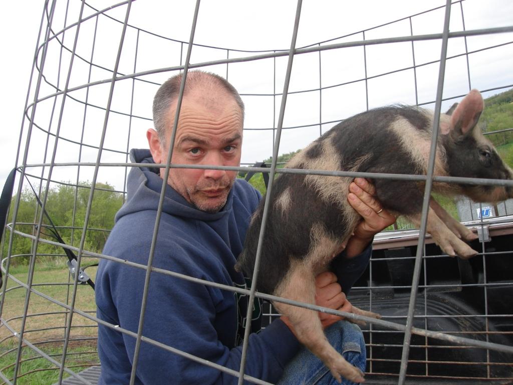 pigs2011truckcomp2