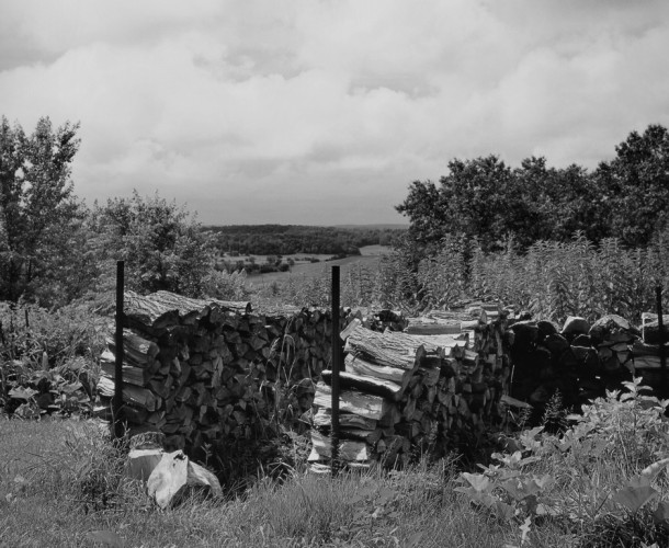 COOP photo Chapter One - Woodpile