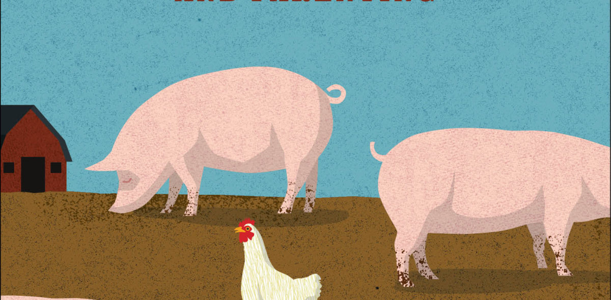 Coop A Family, a Farm, and the Pursuit of One Good Egg (Paperback