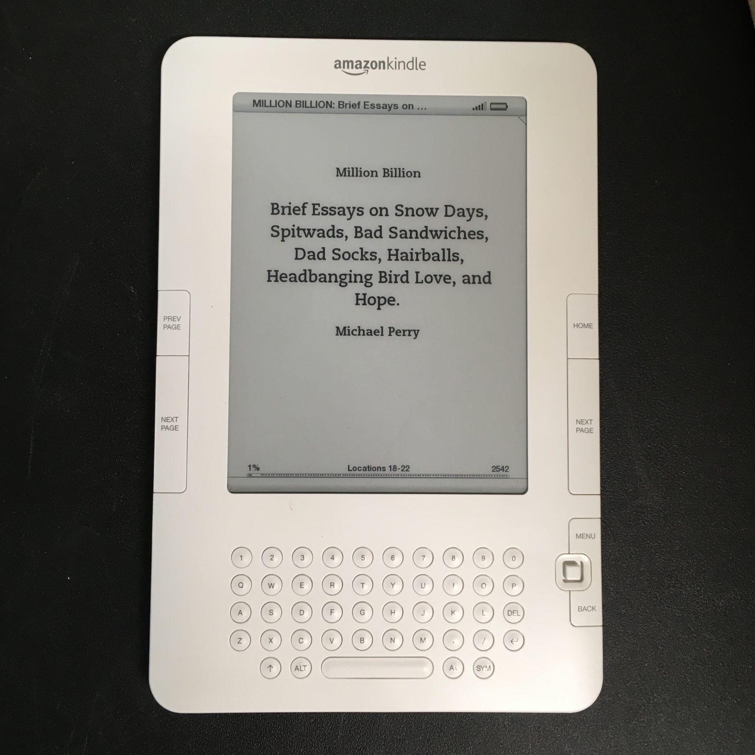 Antique Kindle, New Book
