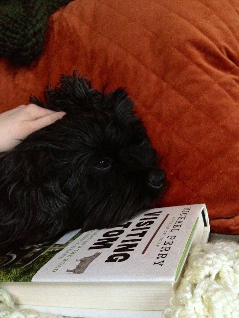Photos of Pets Enjoying Mike's Work
