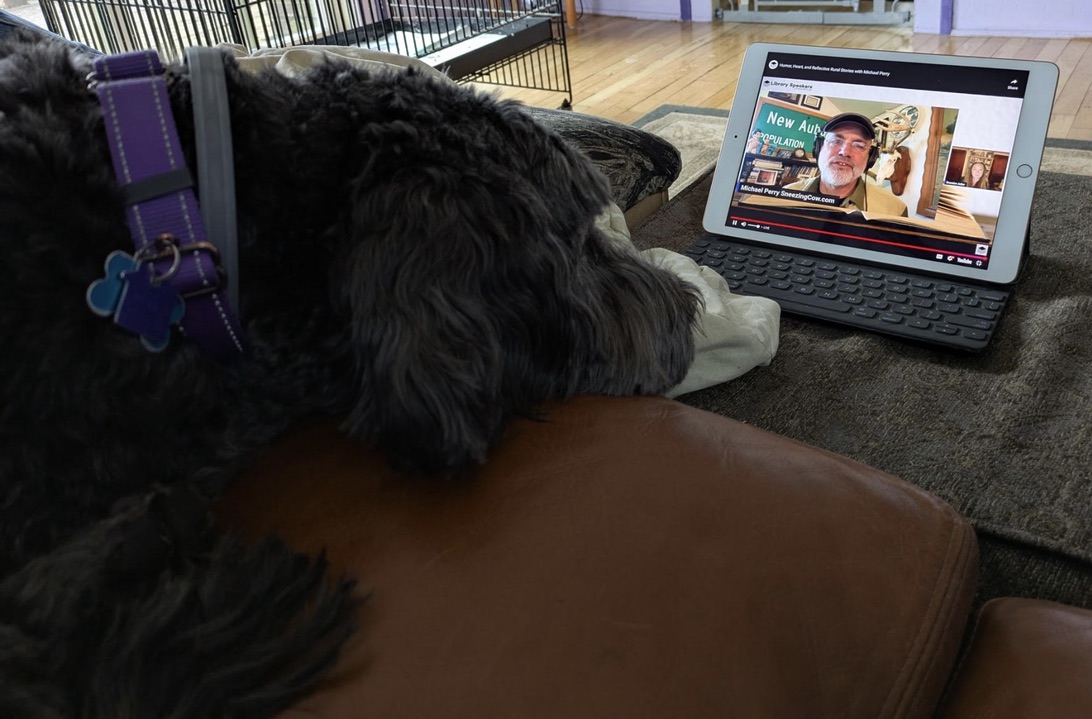 Photos of Pets Enjoying Mike's Work