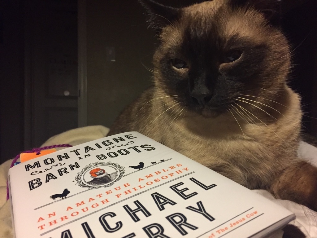 Photos of Pets Enjoying Mike's Work
